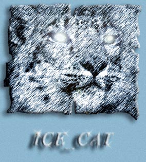 Ice Cat